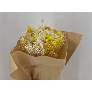 Dr Bqt Bleach Small Yellow