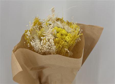 <h4>Dr Bqt Bleach Small Yellow</h4>