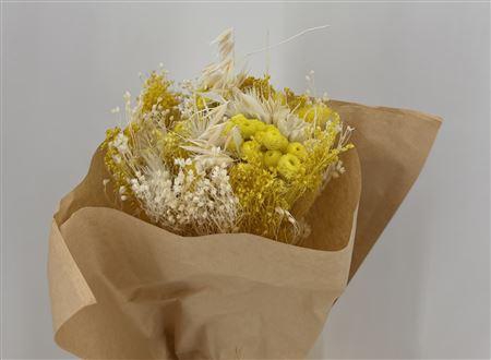 Dr Bqt Bleach Small Yellow