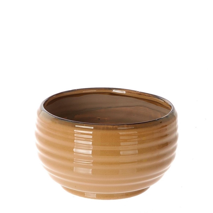 <h4>Opruiming Dalmine schaal d20*12cm</h4>