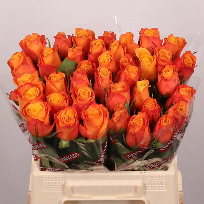 <h4>R GR CONFIDENTIAL</h4>