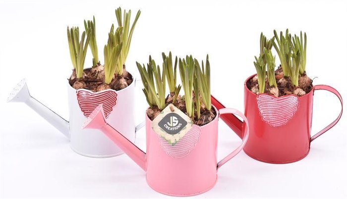 <h4>Zink gieter mix hart 10cm</h4>