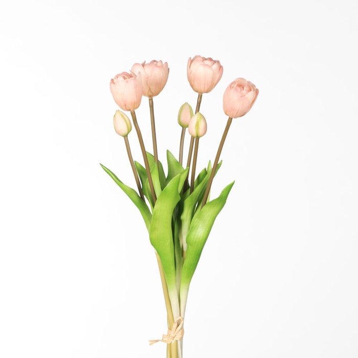 <h4>AF Tulip Db Bnd x7 L44cm L.Pin</h4>