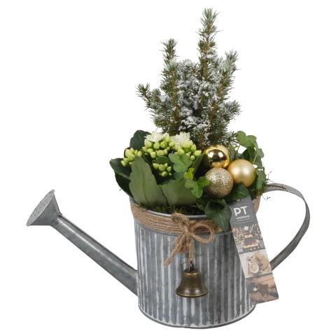 <h4>PTCHG5671 Arrangementen Kerst</h4>
