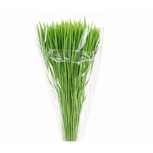 Dried Silk Worms Extra Green Bunch