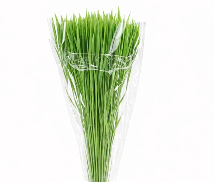 <h4>Dried Silk Worms Extra Green Bunch</h4>