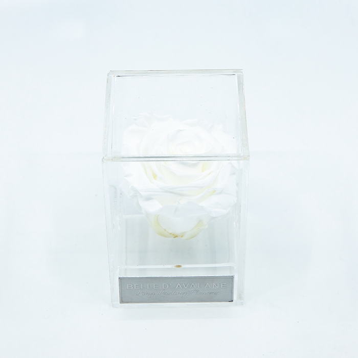 Plexi 7cm witte roos