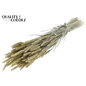 Triticum per bunch Frosted Light Yellow