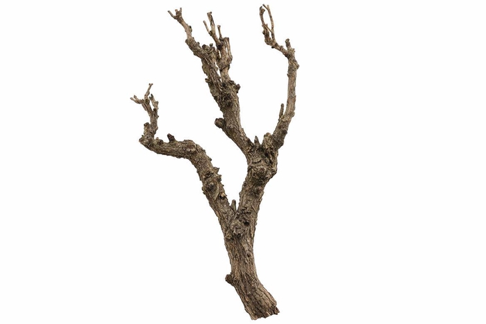 <h4>Housses 52x35x10cm OPP40 Kraftline rose</h4>