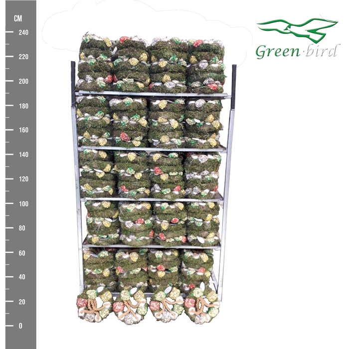 <h4>CC KransN 200 suks</h4>