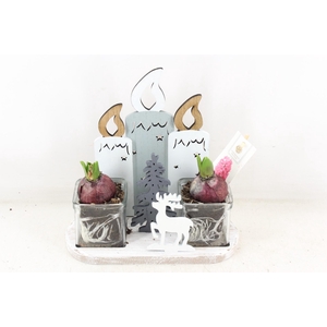 arr4 Hyacint FL - Cozy candles