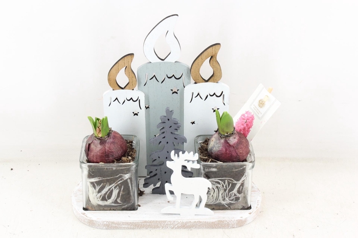 <h4>arr4 Hyacint FL - Cozy candles</h4>