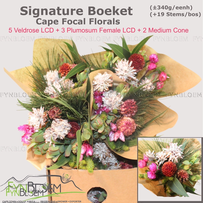 <h4>KAAPS GROE GEM IN BS</h4>