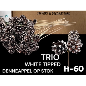 DENNENAPP OP STOK H%