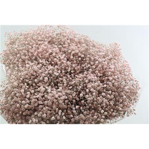 GYPS GROF SOFT PINK (DIP)