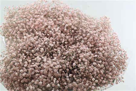 <h4>GYPS GROF SOFT PINK (DIP)</h4>