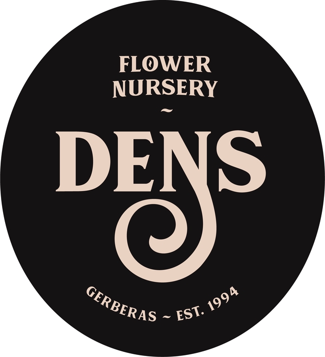 GE PICCO VERONA DENS