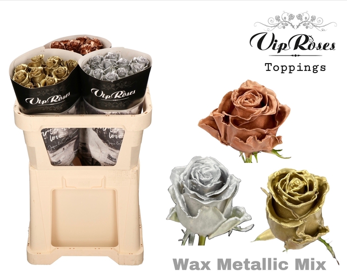 <h4>R GR WAX METALLIC MIX 998</h4>