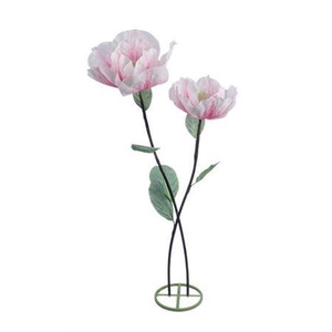 Stem Magnolia Double Stem L50w50h160