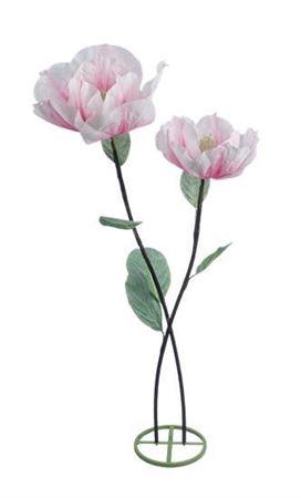 <h4>Stem Magnolia Double Stem L50w50h160</h4>