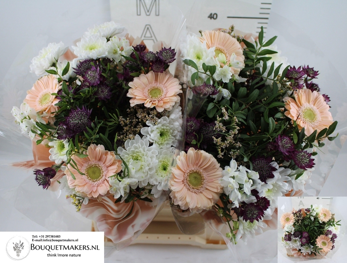 <h4>GEM BOEKET OV</h4>