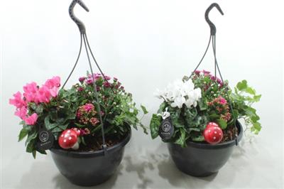 <h4>1024 HANGPOT BT P-C</h4>