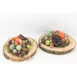 arr4 Sierfruit PP - Hout schijf x3