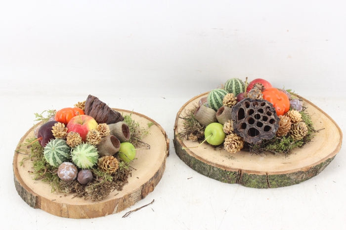 <h4>arr4 Sierfruit PP - Hout schijf x3</h4>