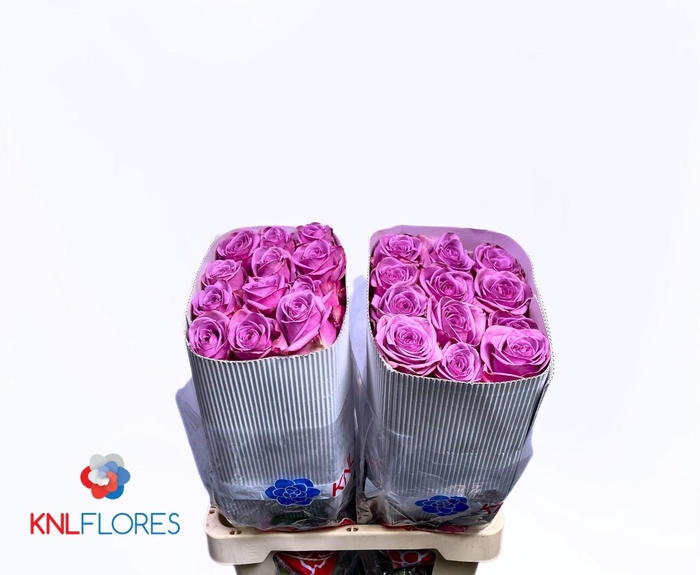 <h4>R GR COOL WATER!</h4>