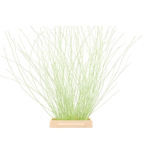Berk 70cm Mintgroen Pbs