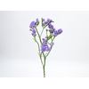 LIMONIUM DEEP LAVANDER 080 CM LILAS