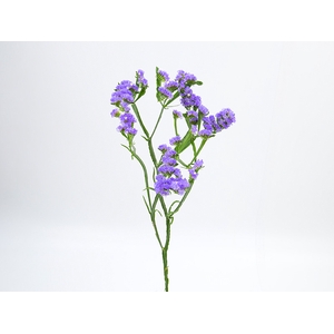 LIMONIUM DEEP LAVANDER 070 CM LILAS