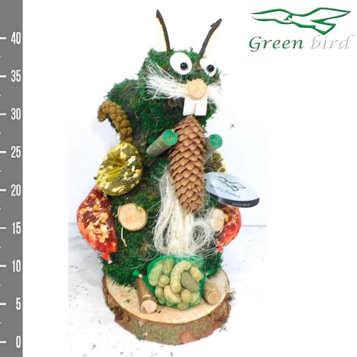 <h4>VOGELZ FIGUUR H%</h4>