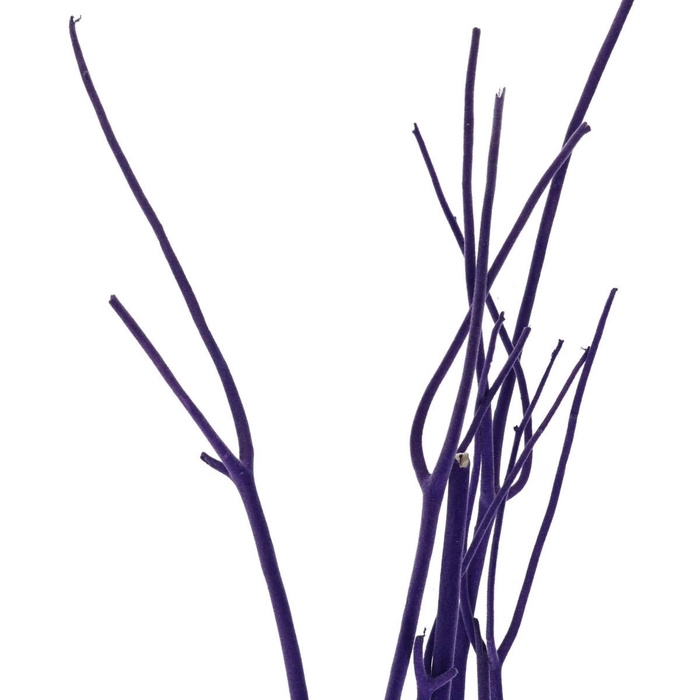 <h4>Dried articles Mitsumata flock 115cm x3</h4>