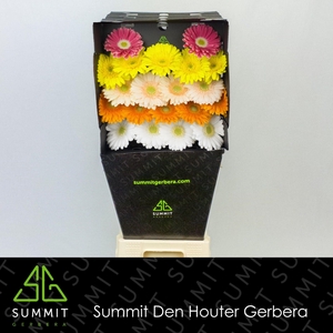 Germini Mix groen hart Diamond