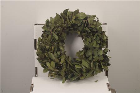 <h4>Wreath Steeneik Naturel 25cm</h4>