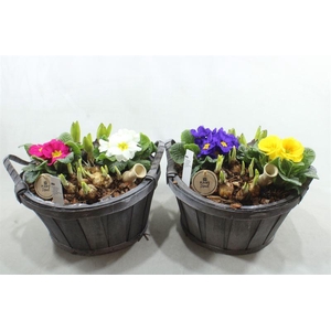 0801 XL LATTEN ROND TUINTJE