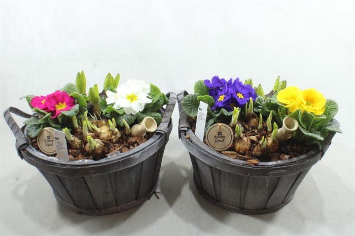 <h4>0801 XL LATTEN ROND TUINTJE</h4>