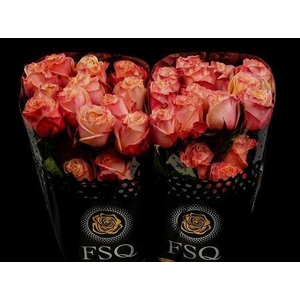 R Gr Lovely Hearts Xl