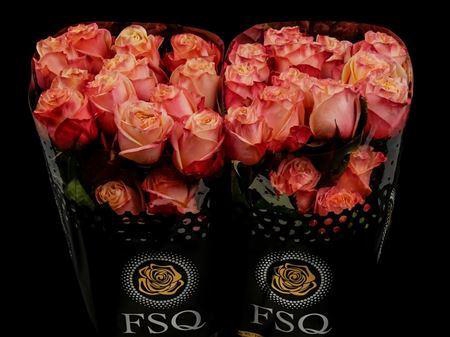 <h4>R Gr Lovely Hearts Xl</h4>