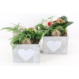 arr2 PL - Hout bakje met hart - roze/rood