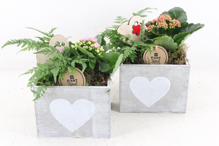 Arr2 Pl - Hout Bakje Met Hart - Roze/rood