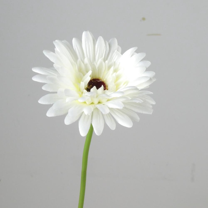 AF Gerbera L58cm White