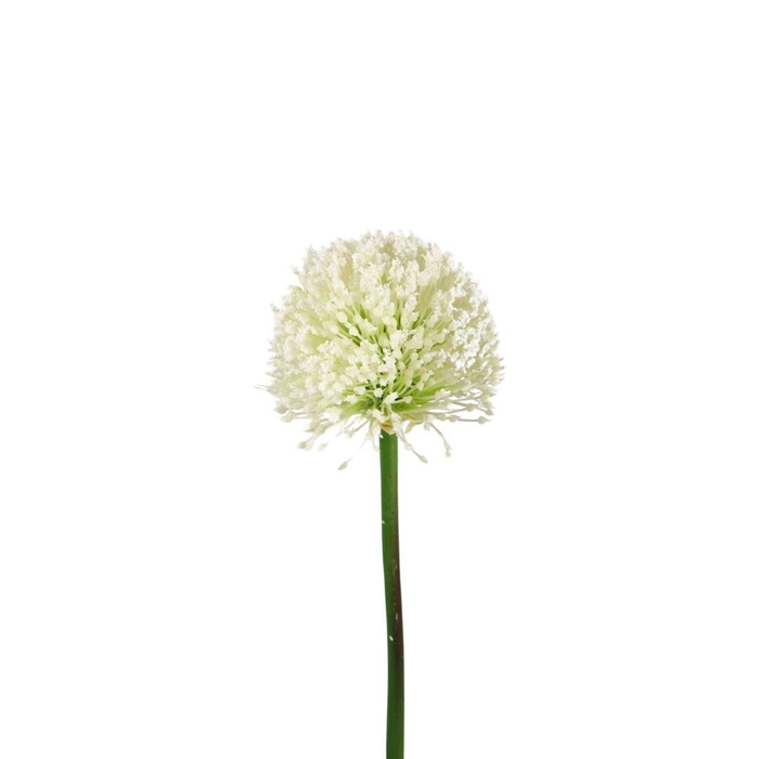 Kunstbloemen Allium 62cm