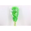 Dried Lagurus Bl Light Green Bunch