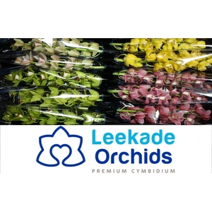 CYMB MI SPRING MIX Leekade X10