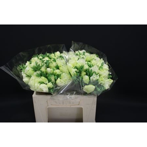 Anem Zwaar Pure White