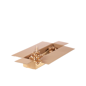 Apple 5cm O/s 10pc Sb Gld