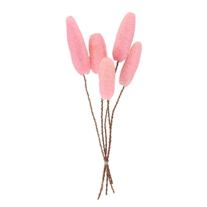 DRY LUFFA PINK 5PC