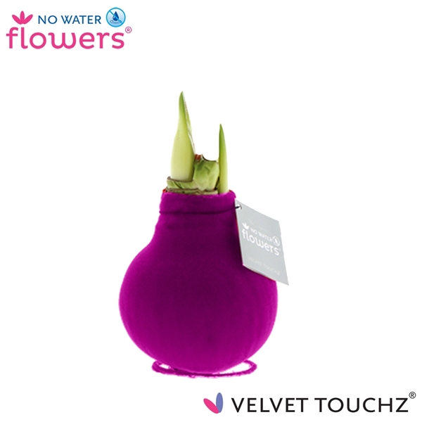 <h4>Hipp Waxz Velvet Pink</h4>